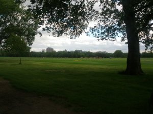 CameraZOOM-20130613181732135