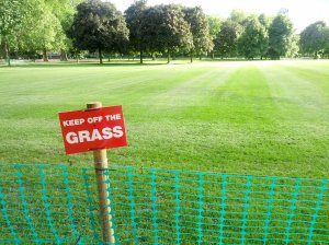 CameraZOOM-20130613182225058