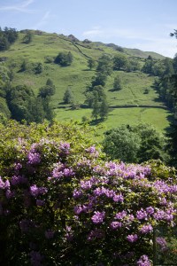 London2013_EDITS-0375