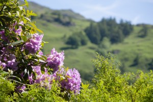 London2013_EDITS-0377