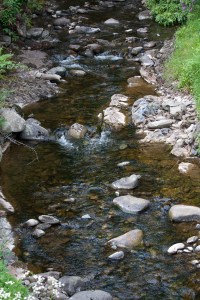 London2013_EDITS-0523