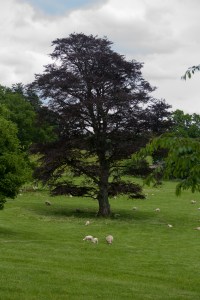 London2013_EDITS-0527