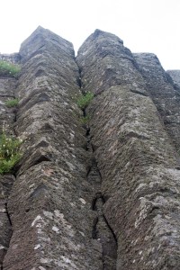 Wall of rock at Giant's Causeway