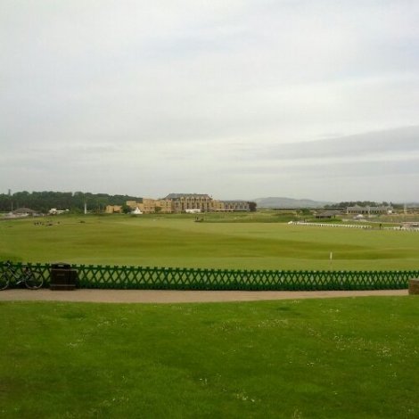 IMG_20130620_100652.jpg image