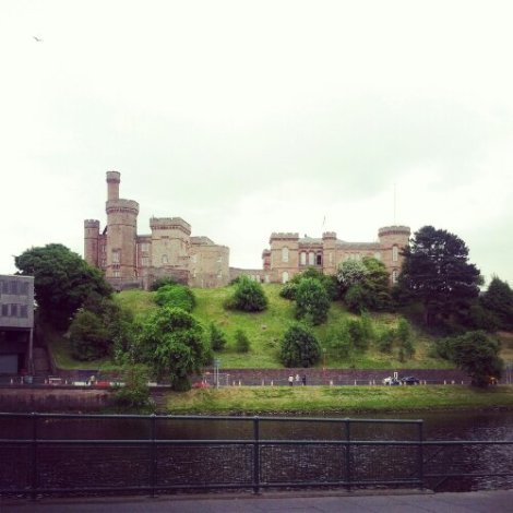 IMG_20130620_175631.jpg image