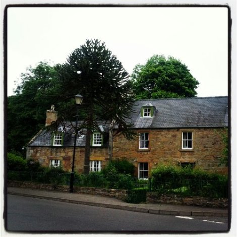 IMG_20130621_121711.jpg image