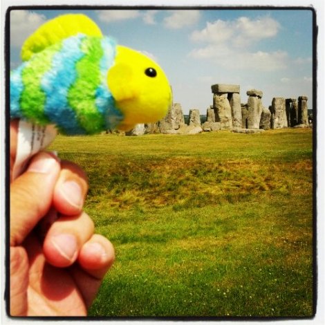 IMG_20130707_125402.jpg image