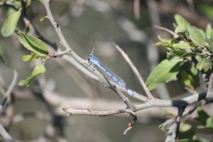 Birding Center_2013_10_23_0026
