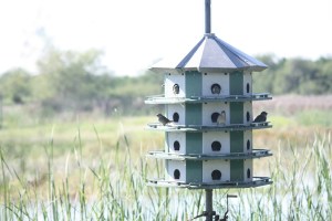 Birding Center_2013_10_23_0031