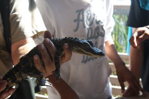 Birding Center_2013_10_23_0043