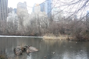 Spring Break NYC_2015_03_17_0045